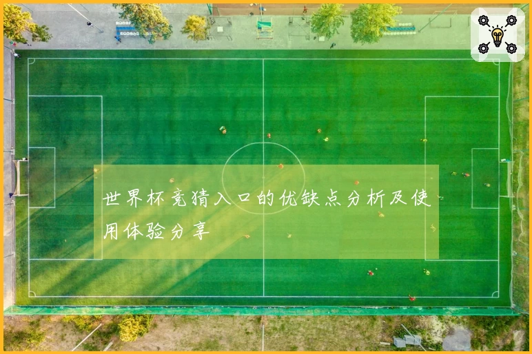 世界杯竞猜入口的优缺点分析及使用体验分享