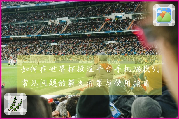 如何在世界杯投注平台手机端找到常见问题的解决方案与使用指南
