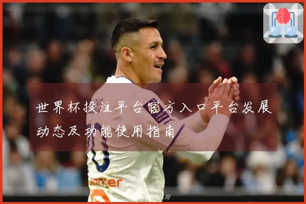 世界杯投注平台官方入口平台发展动态及功能使用指南