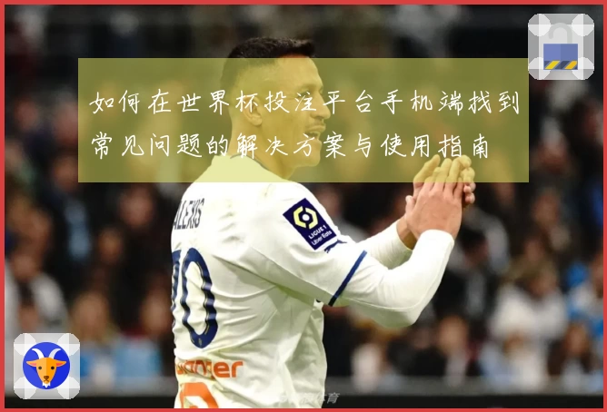 如何在世界杯投注平台手机端找到常见问题的解决方案与使用指南